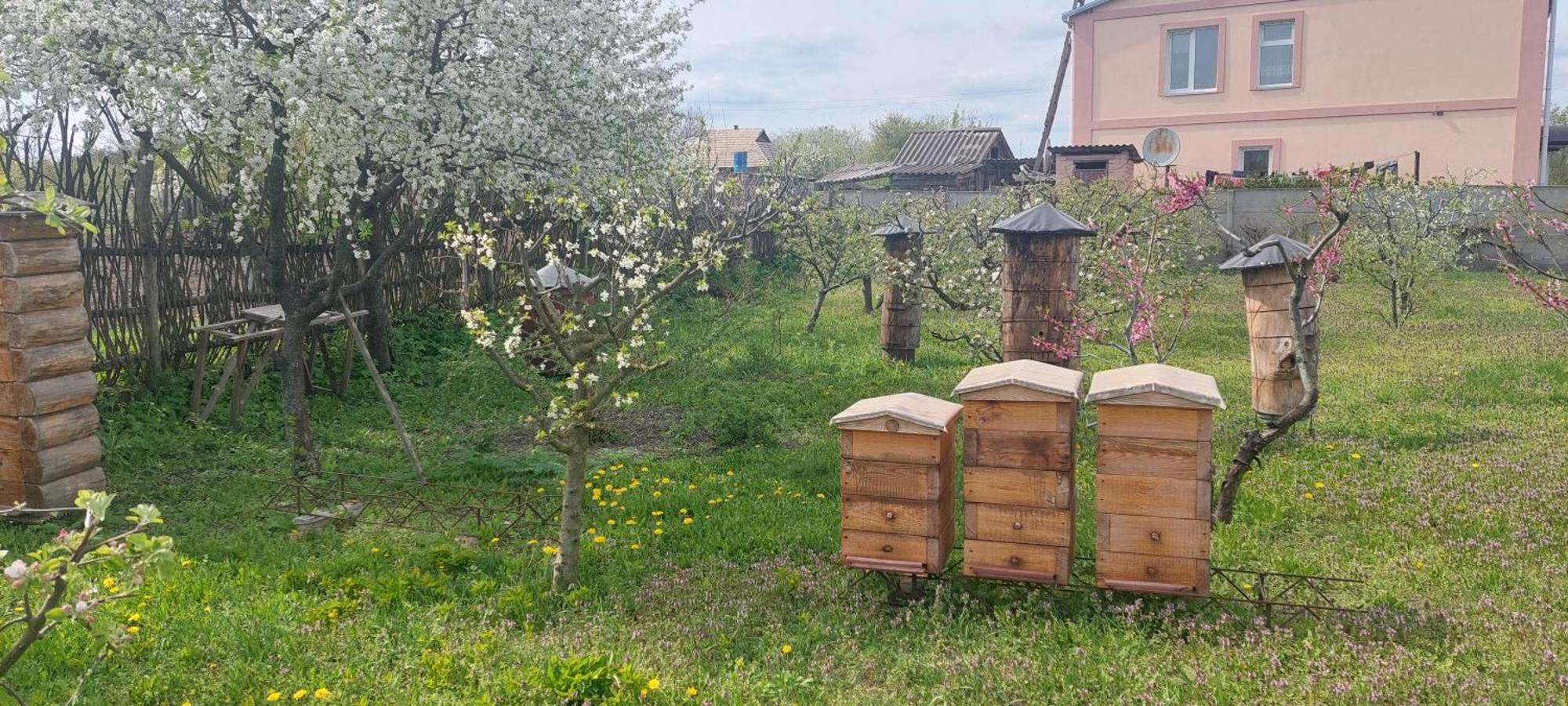 Садиба Зеленого Туризму «Золота Рибка» Медведевка Экстерьер фото